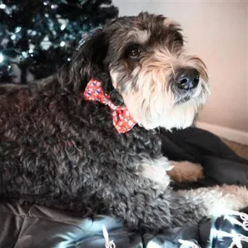 Bedecked Bow Tie