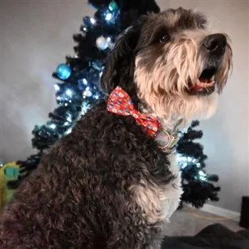 Bedecked Bow Tie