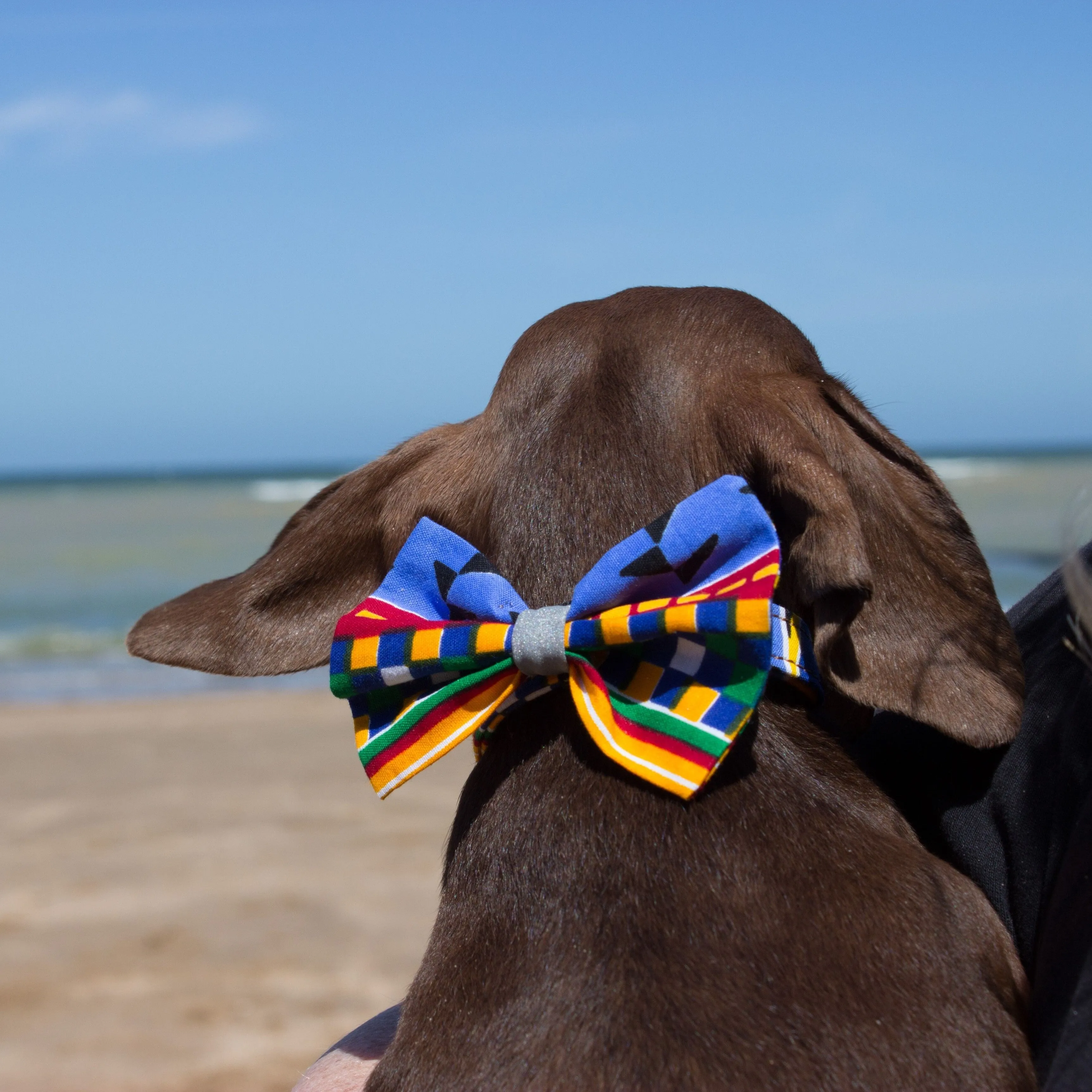 Kente Dog Bow Tie