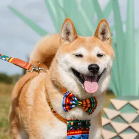 Kente Dog Bow Tie