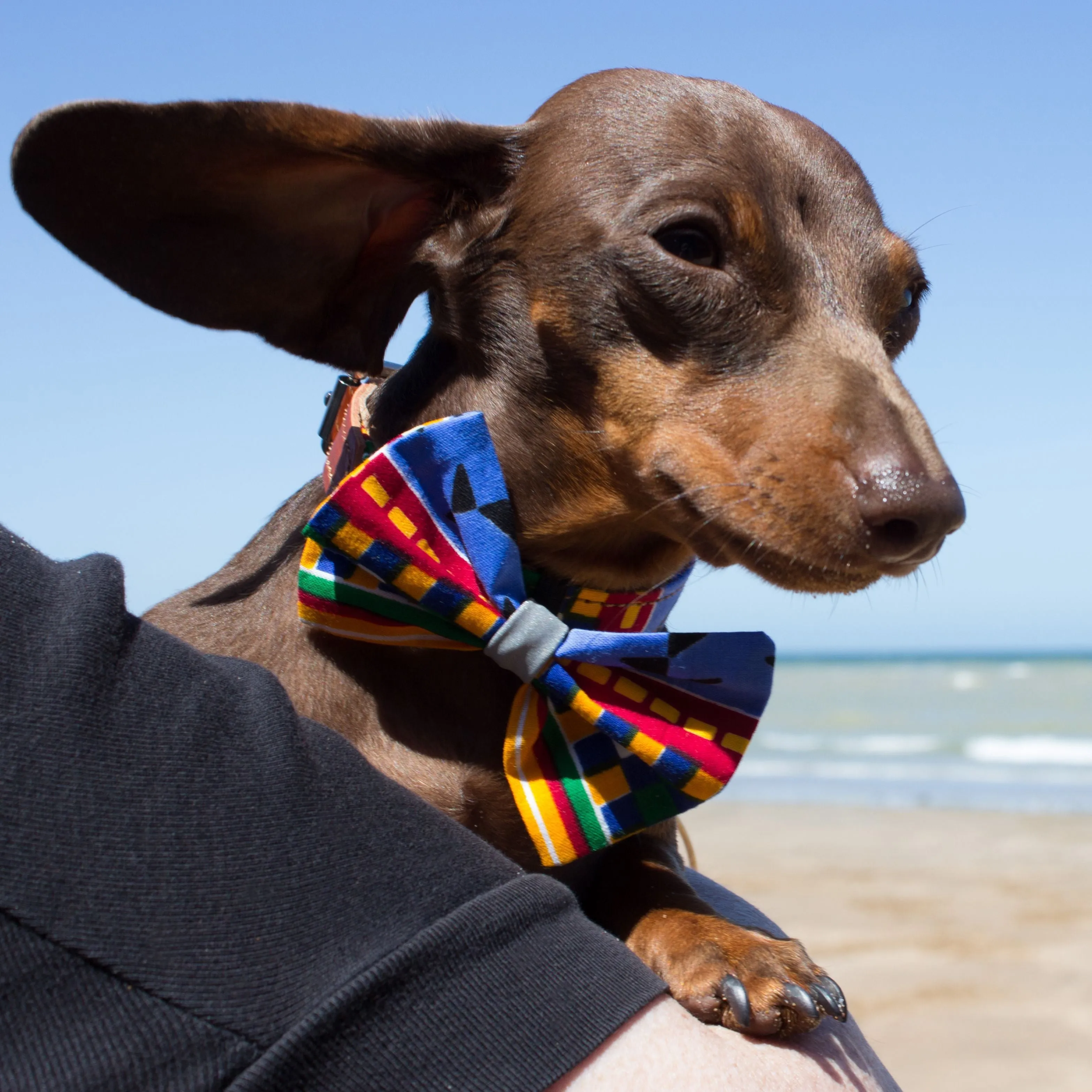 Kente Dog Bow Tie