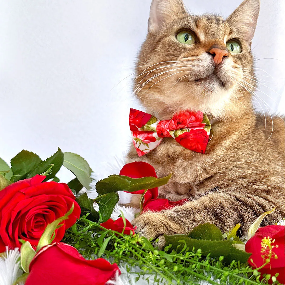 Pet Bow Tie - "Roses" - Red Rose Cat Bow Tie / Valentine's Day, Wedding, Floral / For Cats   Small Dogs (One Size)