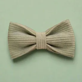 Sage green corduroy dog bow tie